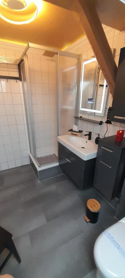 Best-Preis -Vip Lounge- Mit Netflix, Self-Check-In, Ebike Ladestation, Fahrradraum, Wlan Und Netflix - Direkt Am Elberadweg Im Herzen Von 维滕贝尔格 外观 照片